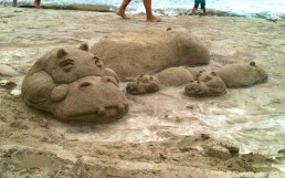 Hippo Sand Art in Hanalei