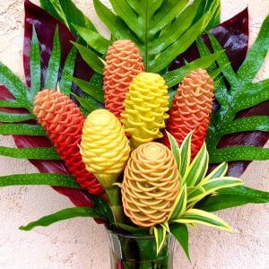 Just Beehives Tropical Ginger Flower Special